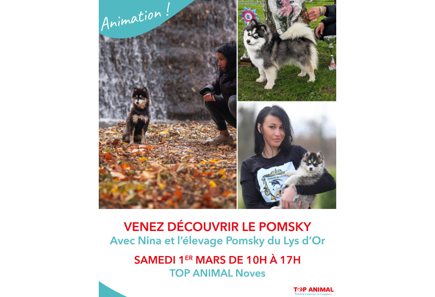 A LA DECOUVERTE DU POMSKY